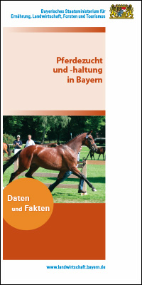 Pferdezucht und -haltung in Bayern - Daten und Fakten (2025)