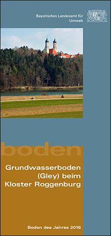 Grundwasserboden (Gley) beim Kloster Roggenburg - Boden des Jahres 2016