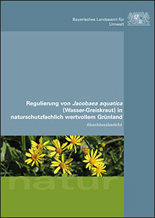 Regulierung von Jacobaea aquatica (Wasser-Greiskraut) in naturschutzfachlich wertvollem Grünland