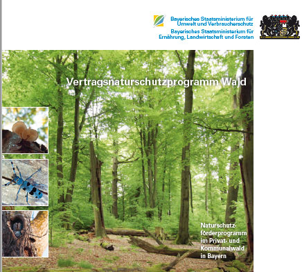 Link zur Publikation Bayerisches Vetragsnaturschutzprogramm Wald